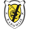 โลโก้ Radomlje