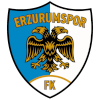 Erzurumspor FK
