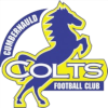 โลโก้ Cumbernauld Colts